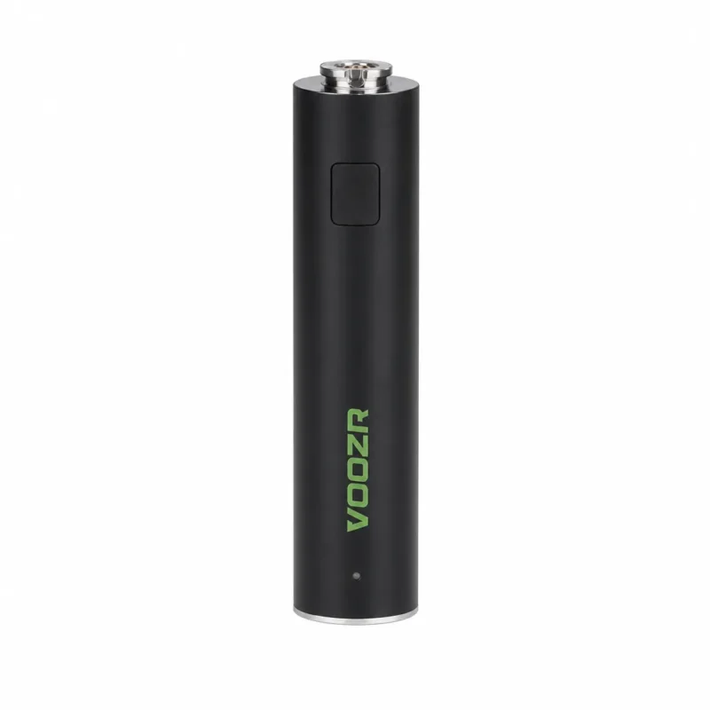VOOZR P2 B Dry Herb Pen product image