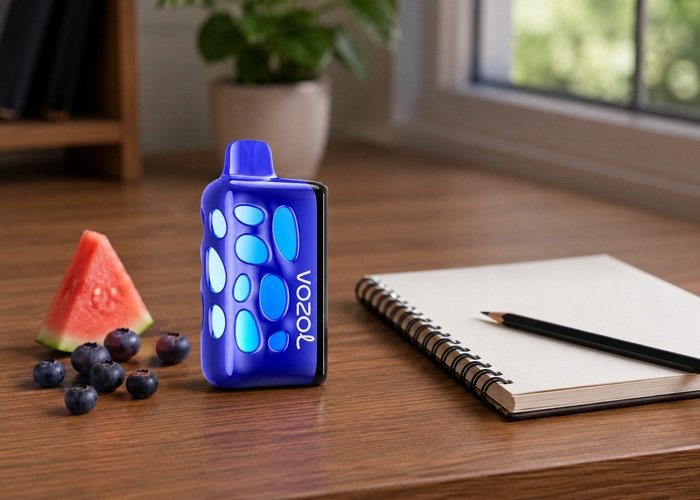 VOZOL Rave 50K Blueberry Watermelon beside a blank tasting notebook and blueberries and watermelon
